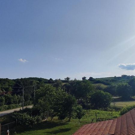 Apartman Flora Vrdnik Exterior foto