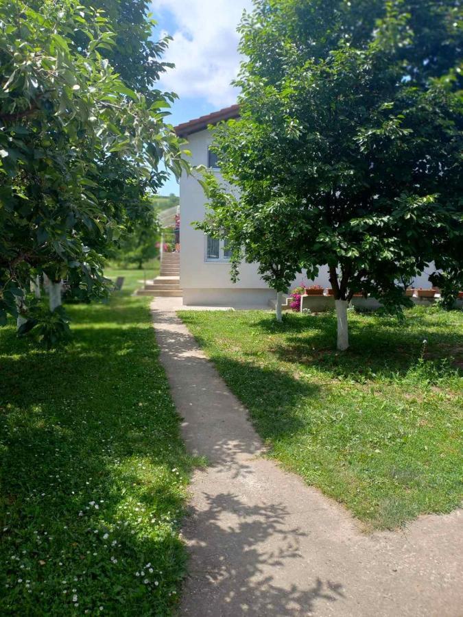 Apartman Flora Vrdnik Exterior foto
